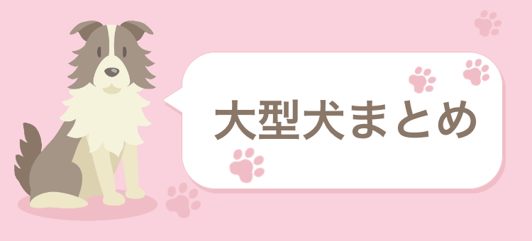 大型犬でも心は本当優しい！